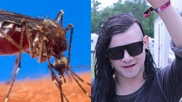 Una canción del DJ Skrillex, ¿capaz de ahuyentar al mosquito que transmite el dengue y el zika?