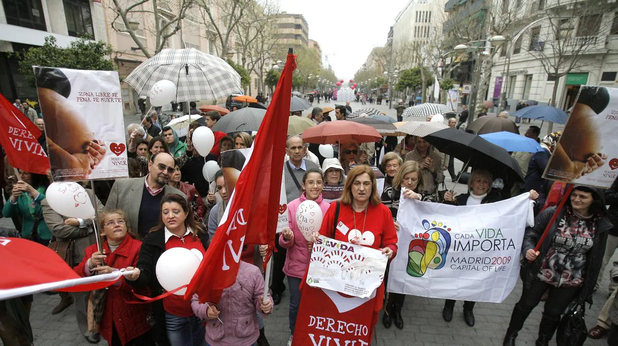 Manifestación en España contra el aborto y el derecho a la vida