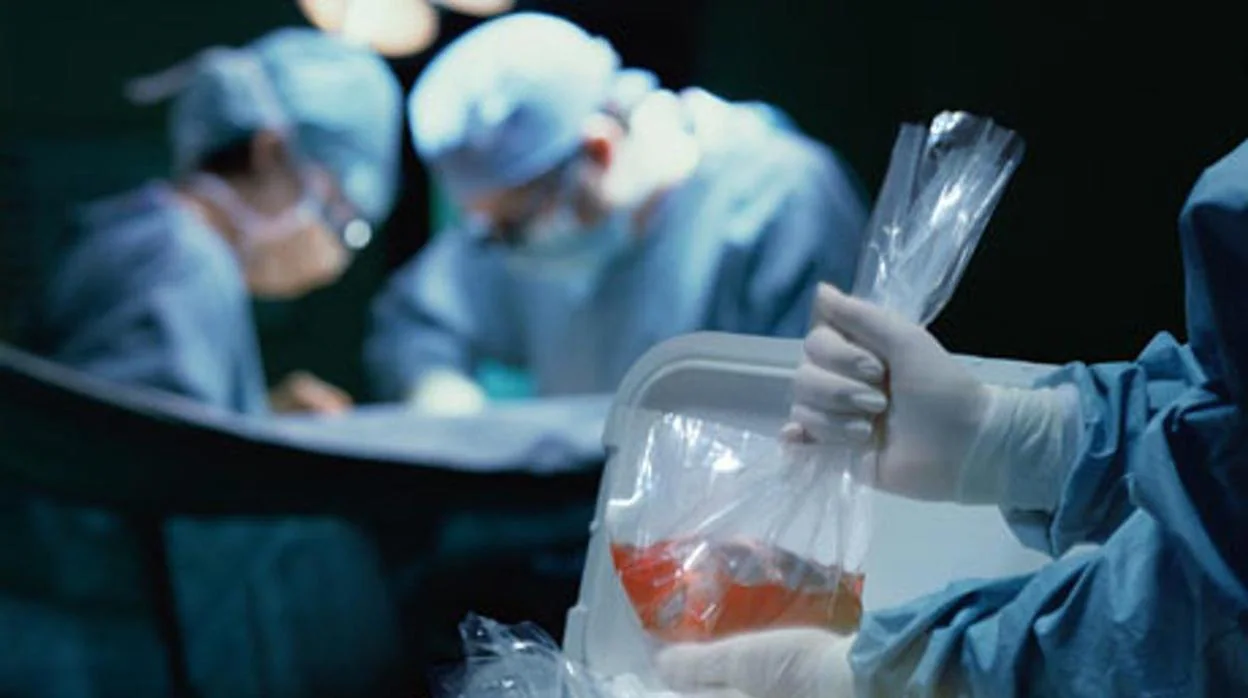 Cirugía de trasplante en un hospital español