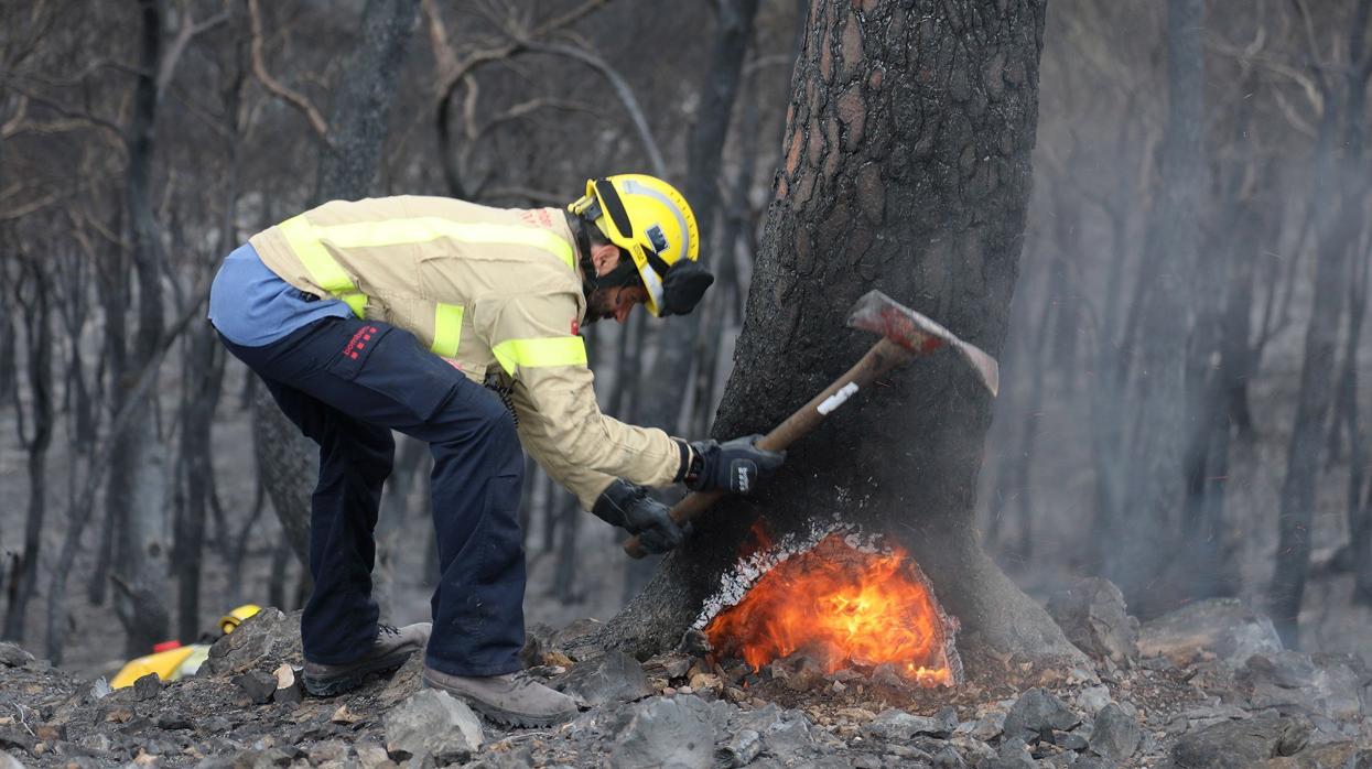 Los Bomberos de la Generalitat han dado por estabilizado el incendio forestal de Perelló (Tarragona)