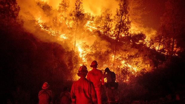 El mayor incendio de California fue provocado al intentar eliminar un nido de avispas