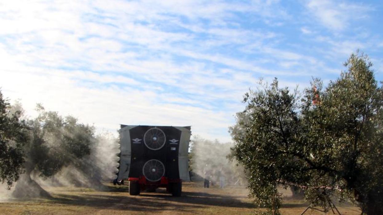 Un camión fumiga una plantación de olivos