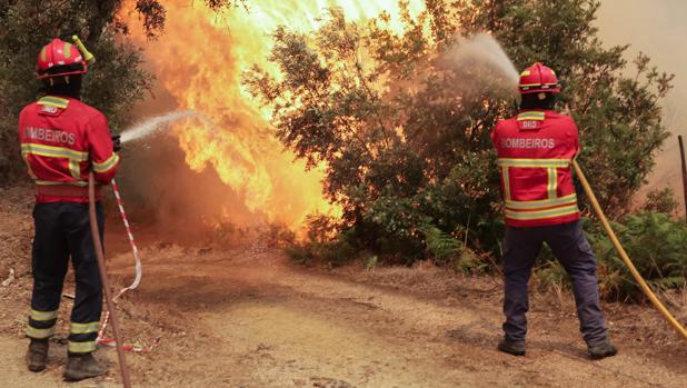 Lucha contra los incendios: España y Portugal acuerdan entrar hasta 25 kilómetros en territorio del otro país