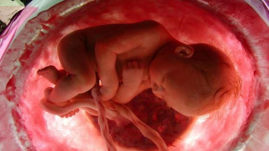 Un bebé en el vientre de su madre