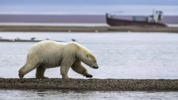 Alaska bate su récord de temperatura con 32ºC