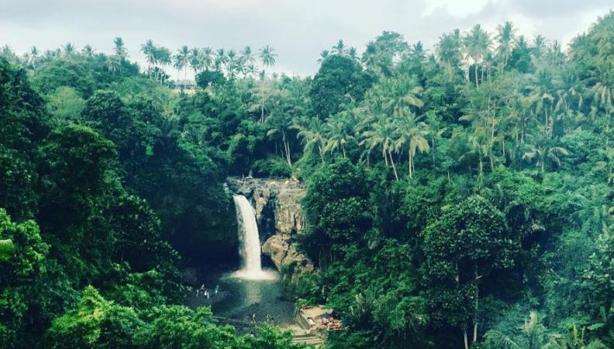 Un hombre camina 800 kilómetros hacia atrás para salvar los bosques de Indonesia