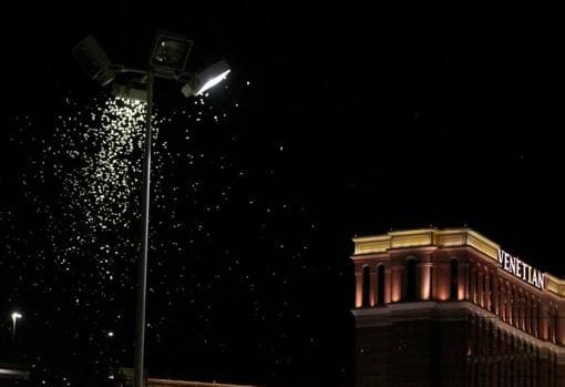 Las Vegas sufre una invasión de saltamontes tan grande que puede verse desde los radares meteorológicos