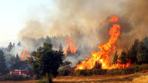 El escándalo de los kits contra los incendios en Portugal: son inflamables