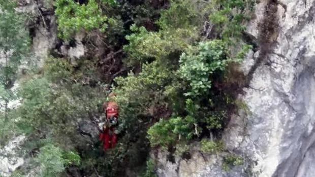 Un joven de 23 años pasa tres horas colgado de un árbol tras caer desde 30 metros en la ruta del Cares