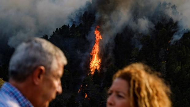 El fuego asola Canarias: 4.000 personas evacuadas por un incendio que sigue fuera de control