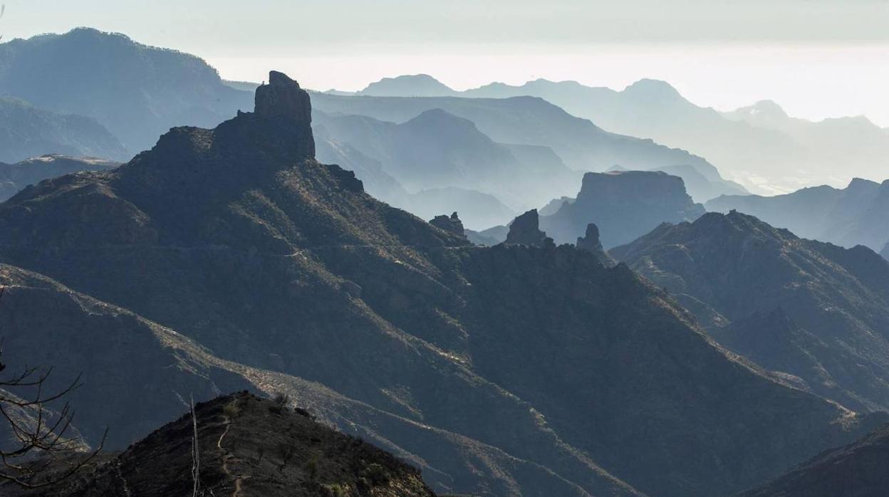 Zona afectada por el fuego vista desde la cruz de Tejeda