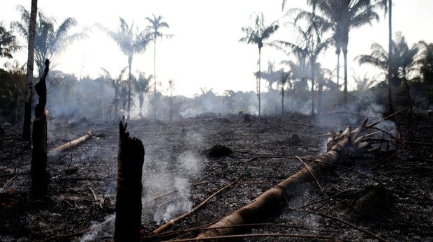 SOS por la Amazonia, cercada por 9.000 incendios en una semana