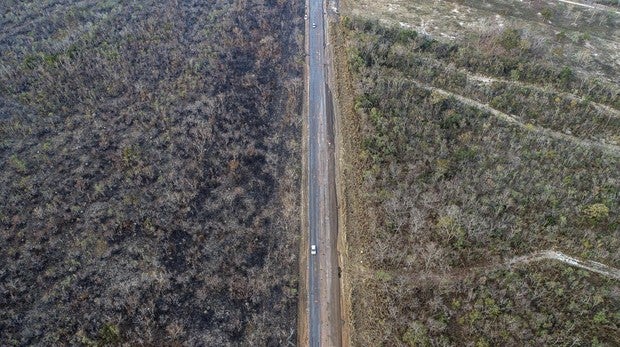 Los incendios en el Amazonas se extienden por cuatro países