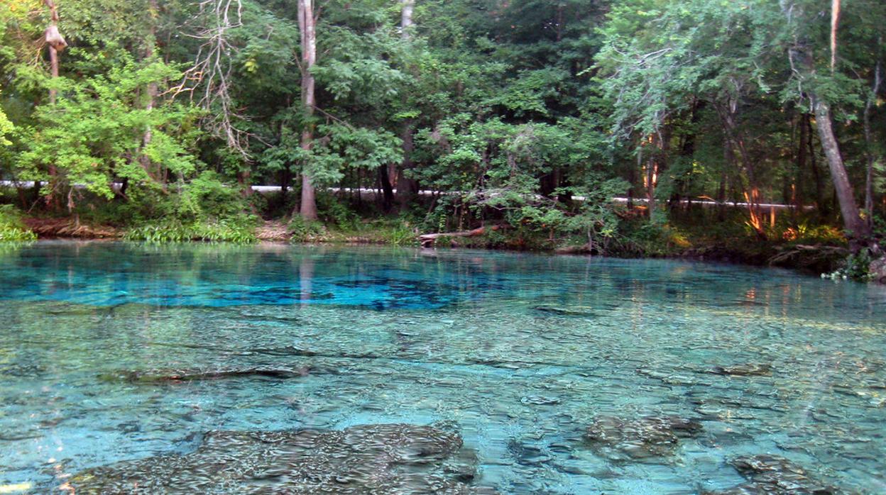 Manantial de Ginnie Springs, en Florida