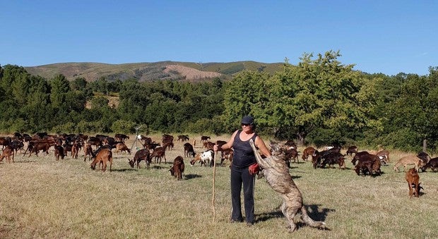Portugal crea su primera «escuela de pastores» para relanzar el interior rural