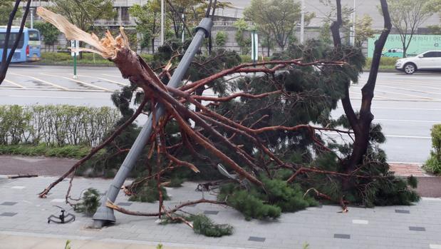 El tifón Lingling deja cinco muertos y cientos de casas destruidas en Corea del Norte