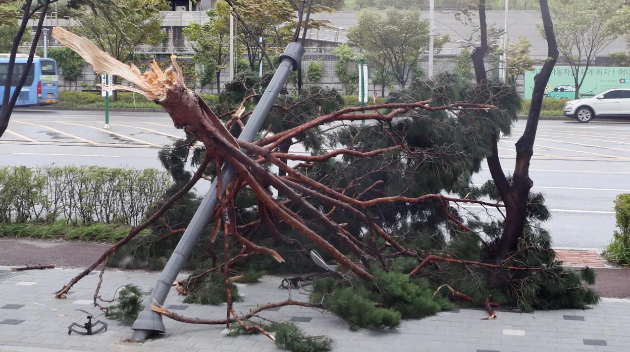 Destrozos del Tifón Lingling en Corea del Norte