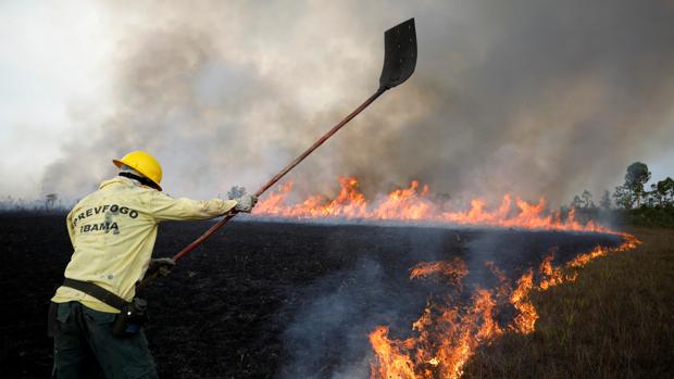 Aumentan los crímenes contra ambientalistas por el abandono oficial de la Amazonia