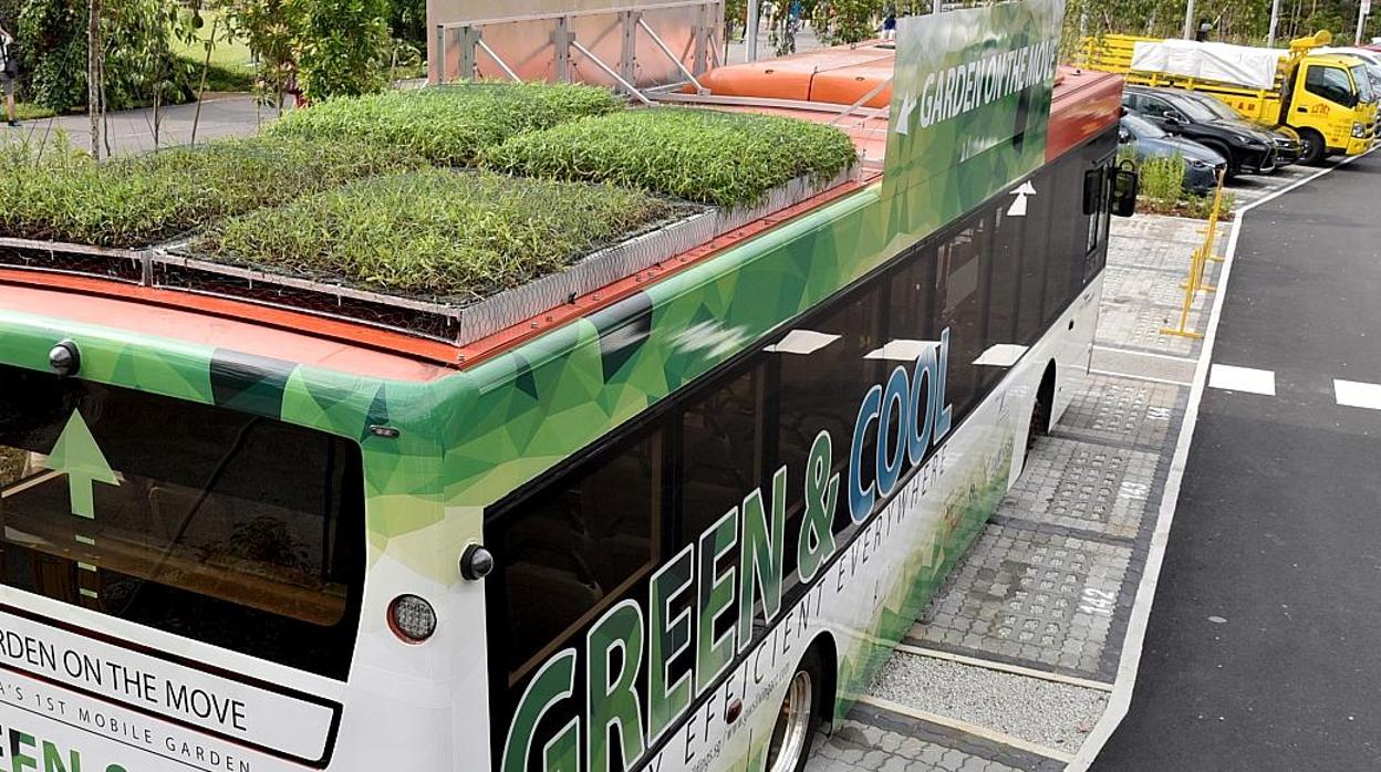 Autobuses públicos de Singapur circulan con el techo repleto de plantas