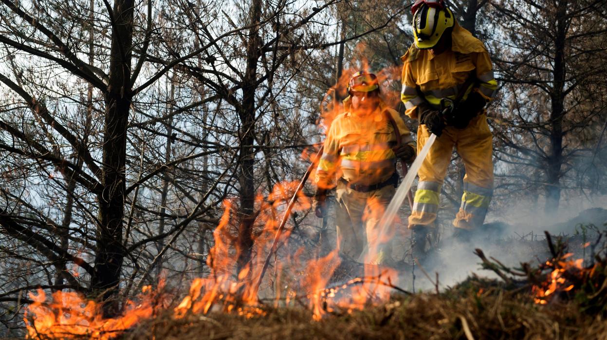 Bomberos tratan de apagar un fuego, el pasado marzo, en Cantabria