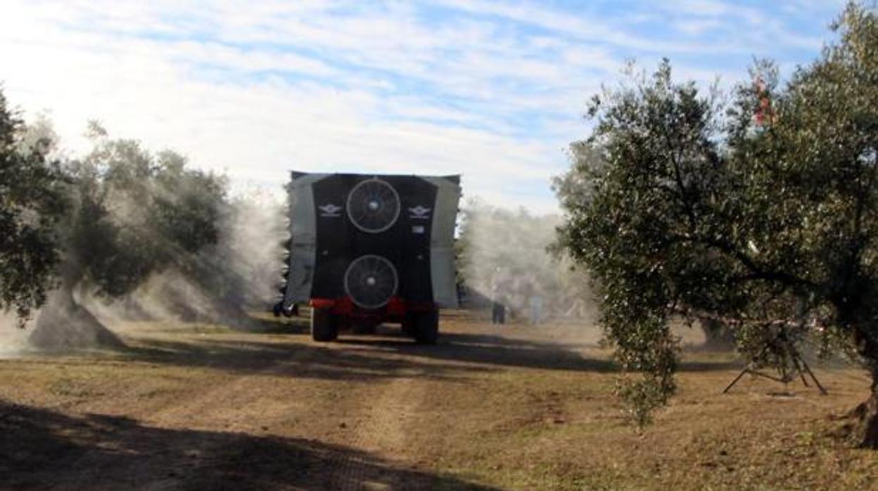 Un camión fumiga una plantación de olivos