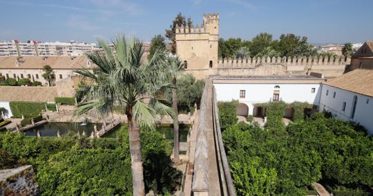 Los naranjos del Alcázar de Sevilla