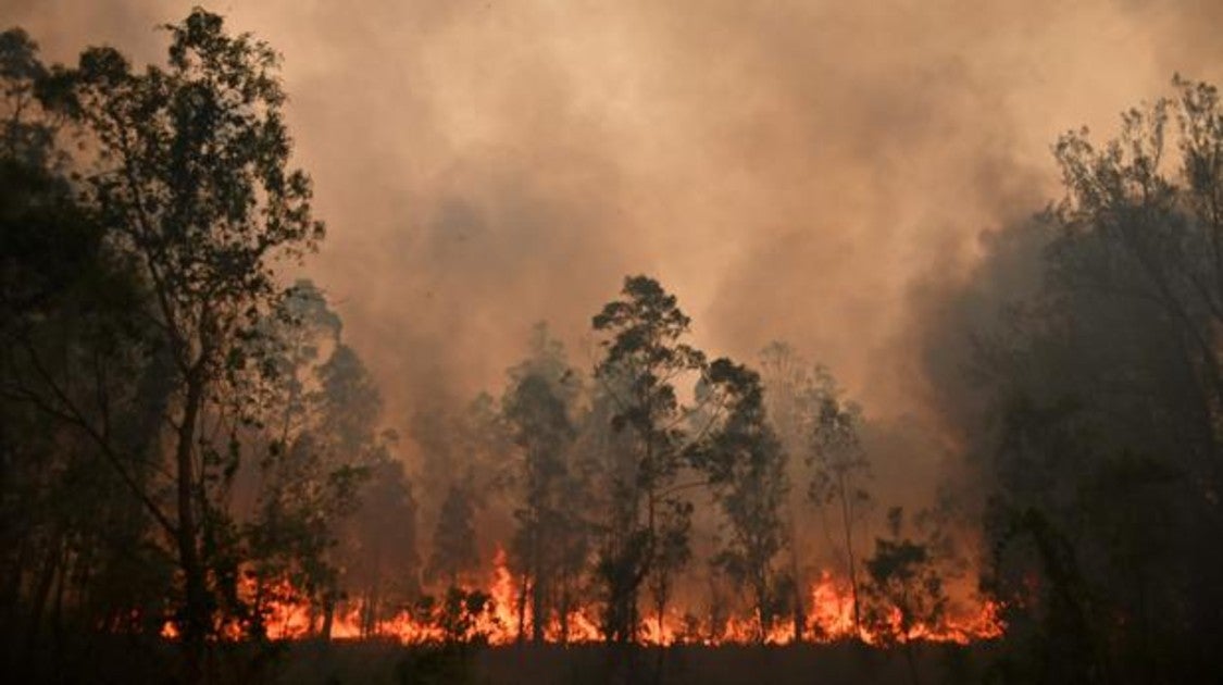 El fuego ha arrasado Bobin, a 350 kilómetros al norte de Sydney