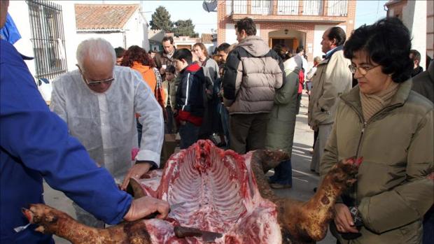 Investigan un brote de triquinosis por comer carne de jabalí en un pueblo de Ciudad Real