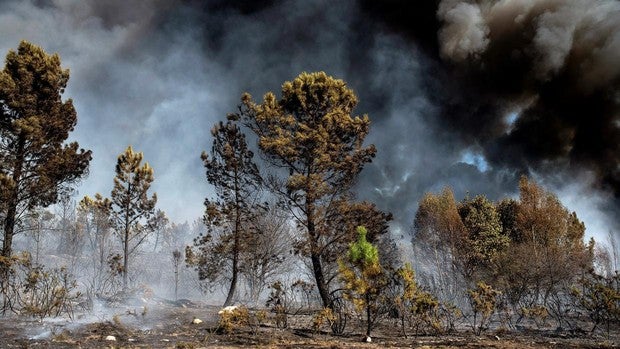 ¿Qué se negocia en la Cumbre del Clima de Madrid?