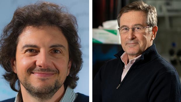 Michael Hall y David Sabatini, premio BBVA por descubrir cómo se regula el crecimiento celular