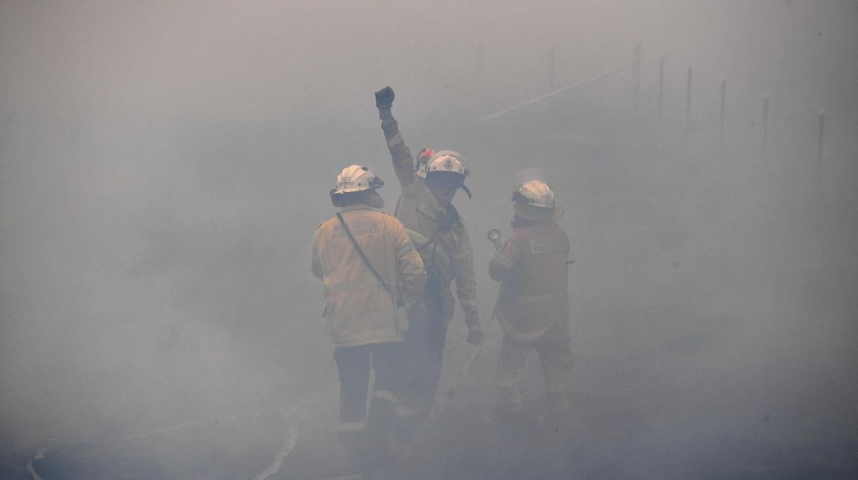 Bomberos trabajando en la extinción que está devastando el país