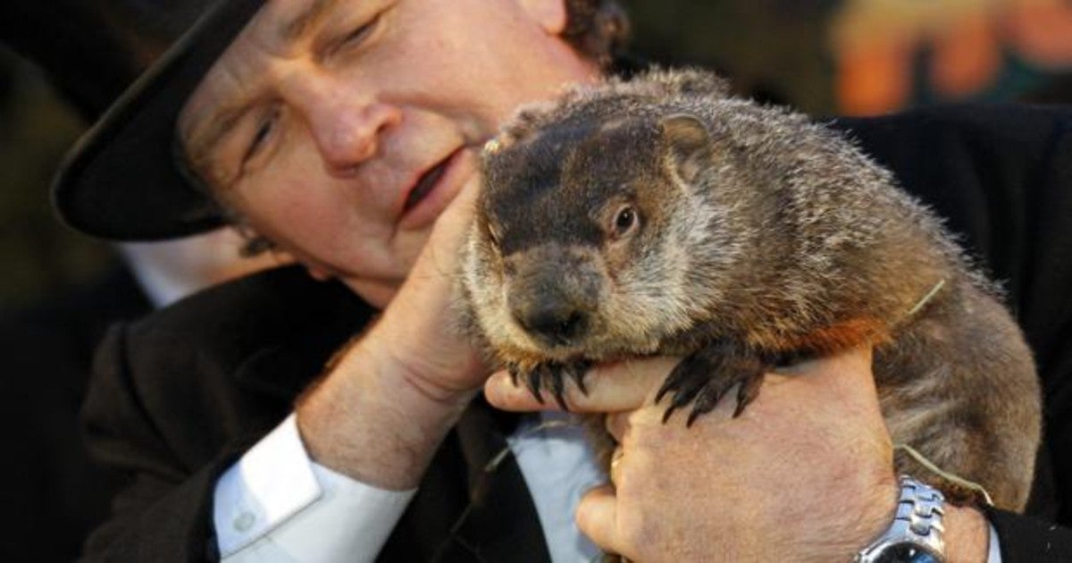 «El día de la marmota»