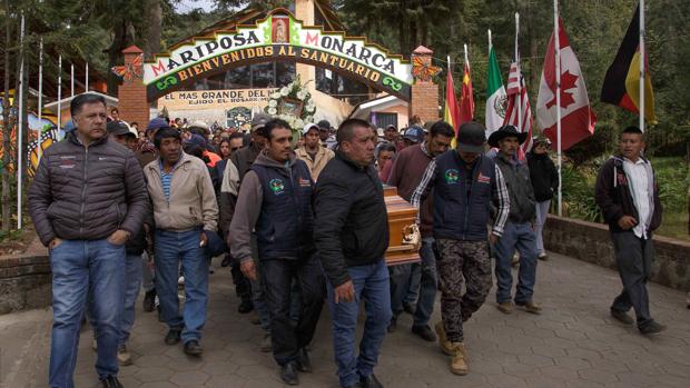 Segunda muerte misteriosa de un conservacionista  defensor de la mariposa monarca en México