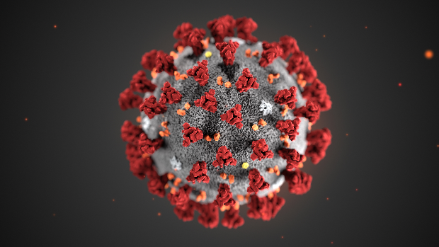 El nuevo coronavirus, bautizado como Covid-19, es «una grave amenaza para el mundo», según la OMS