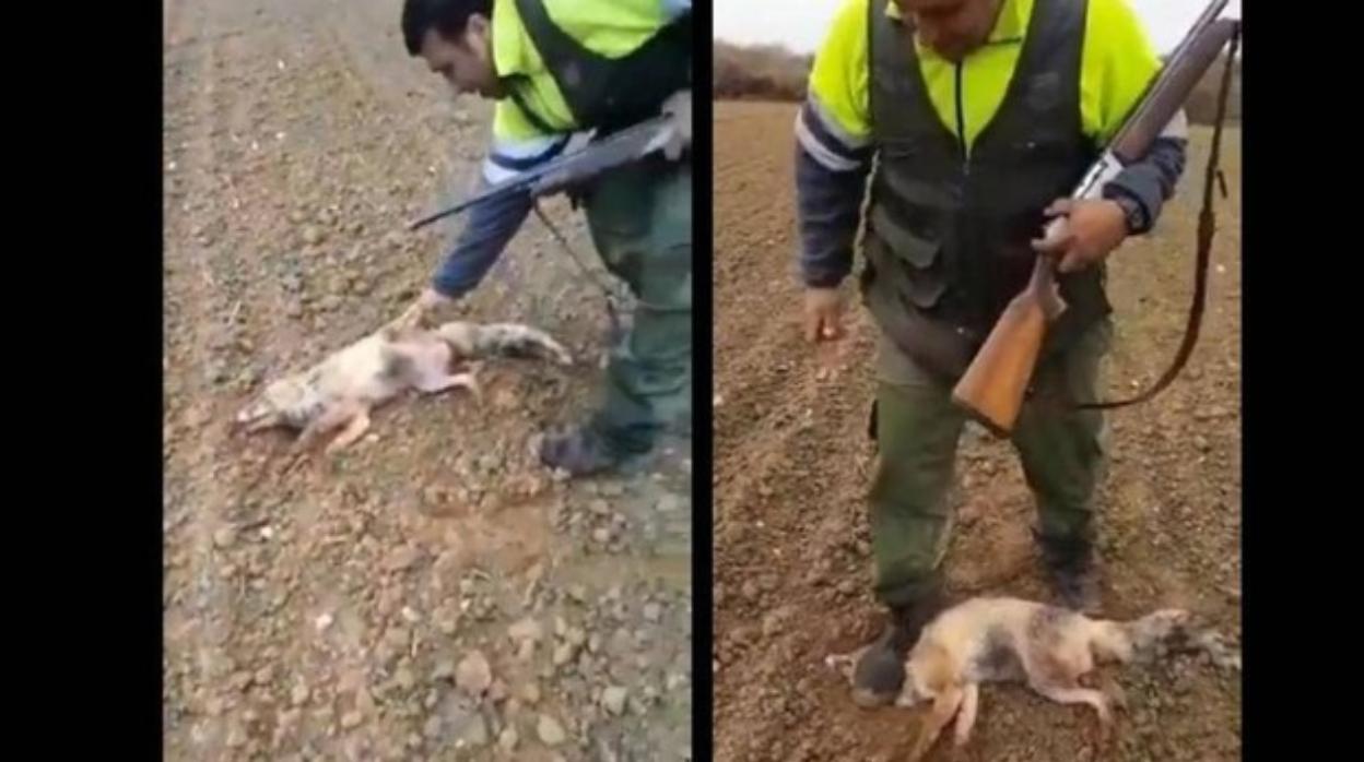 Un cazador golpeó hasta la muerte a un zorro en 2018