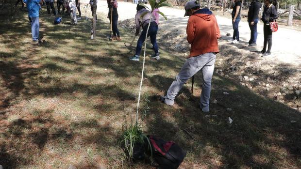 Condenan a un pirómano mexicano a plantar cien árboles frutales y a cuidarlos durante cuatro años