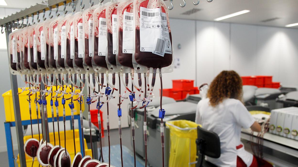 Madrid pide sangre: llama a la donación «urgente» de cuatro grupos sanguíneos