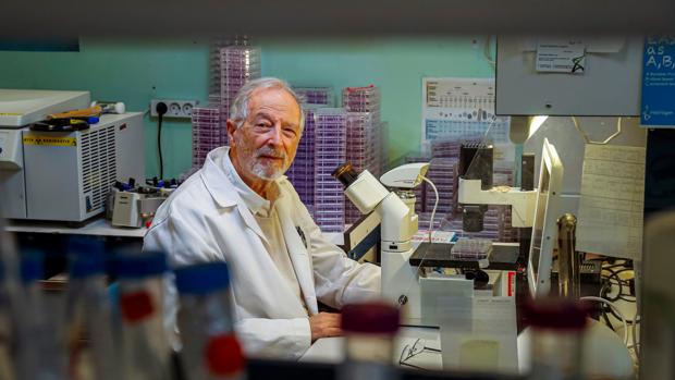 Enjuanes, que estudia la vacuna de la COVID-19, da positivo asintomático