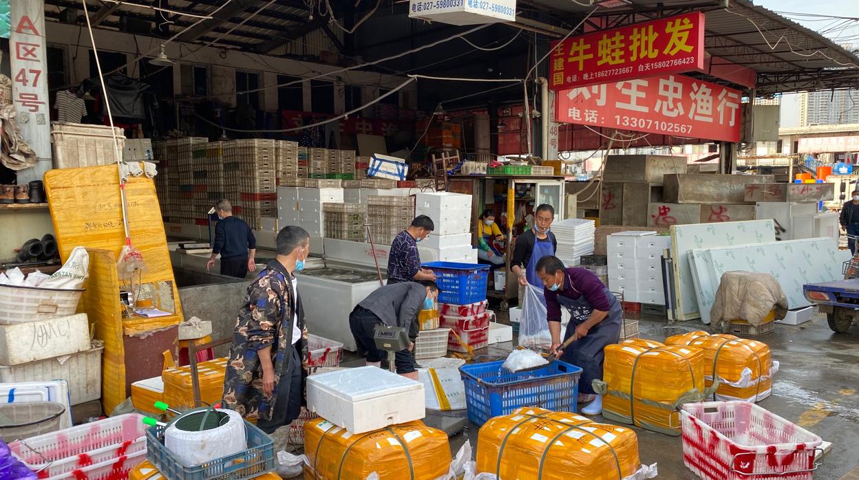 Puestos del mercado de Baishazhou, el mayor de Wuhan, reabierto tras el confinamiento