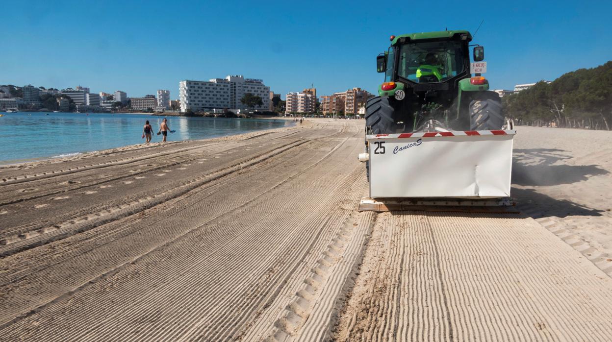 Puesta a punto de las playas de Mallorca para su apertura