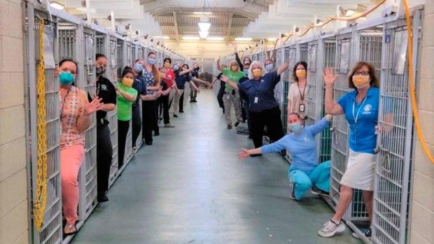 Así celebra un refugio de animales que todos sus perros han sido adoptados por primera vez desde que abrieron