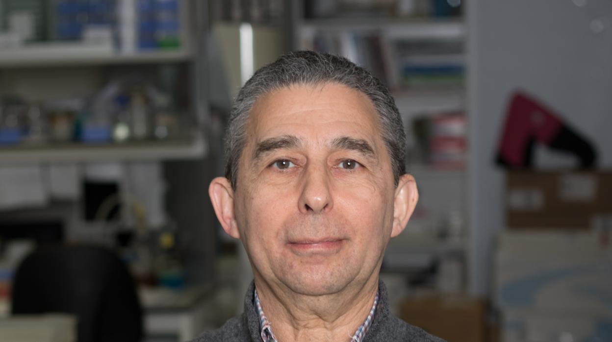 Pere Godoy: «Los brotes que estamos viendo son solo la punta del iceberg»