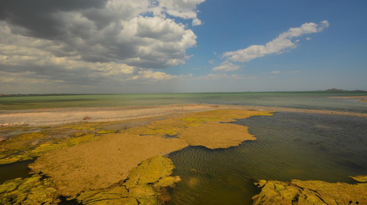 Mar Menor