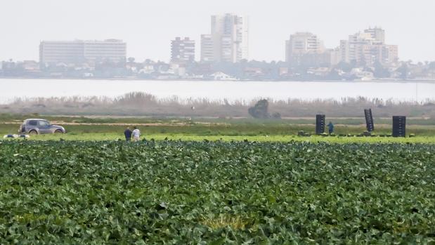 Murcia aprueba la Ley de Protección y Recuperación del mar Menor que limita los fertilizantes