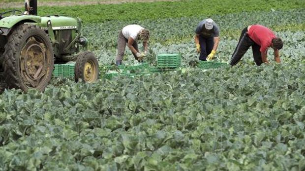 Casi 500 personas en cuarentena en el estado alemán de Baviera por el contagio de 174 temporeros