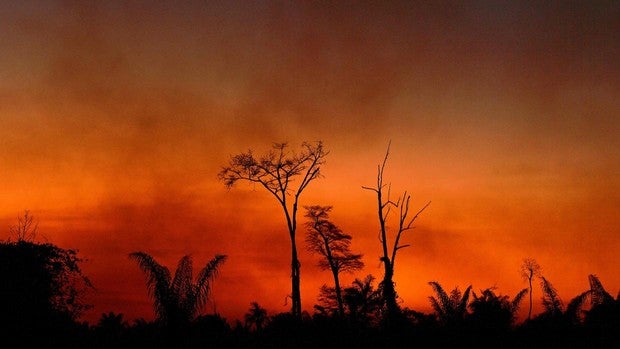 Miles de incendios vuelven a azotar la Amazonía brasileña