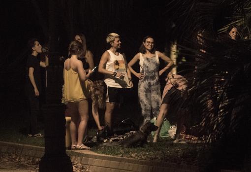 Botellón en el parque del Oeste de Madrid, este fin de semana