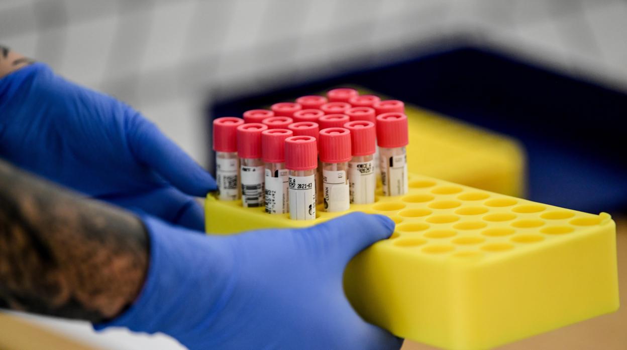 Alemania registra en las últimas 24 horas cerca de 1.700 nuevos contagios de coronavirus