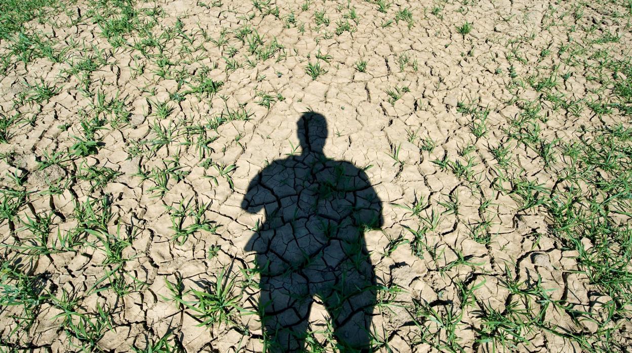 Imagen de archivo de la sequía en Alemania de 2010