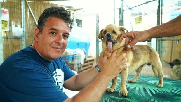 Detenido un hombre por estafar 700.000 euros de donativos que decía que eran para curar animales